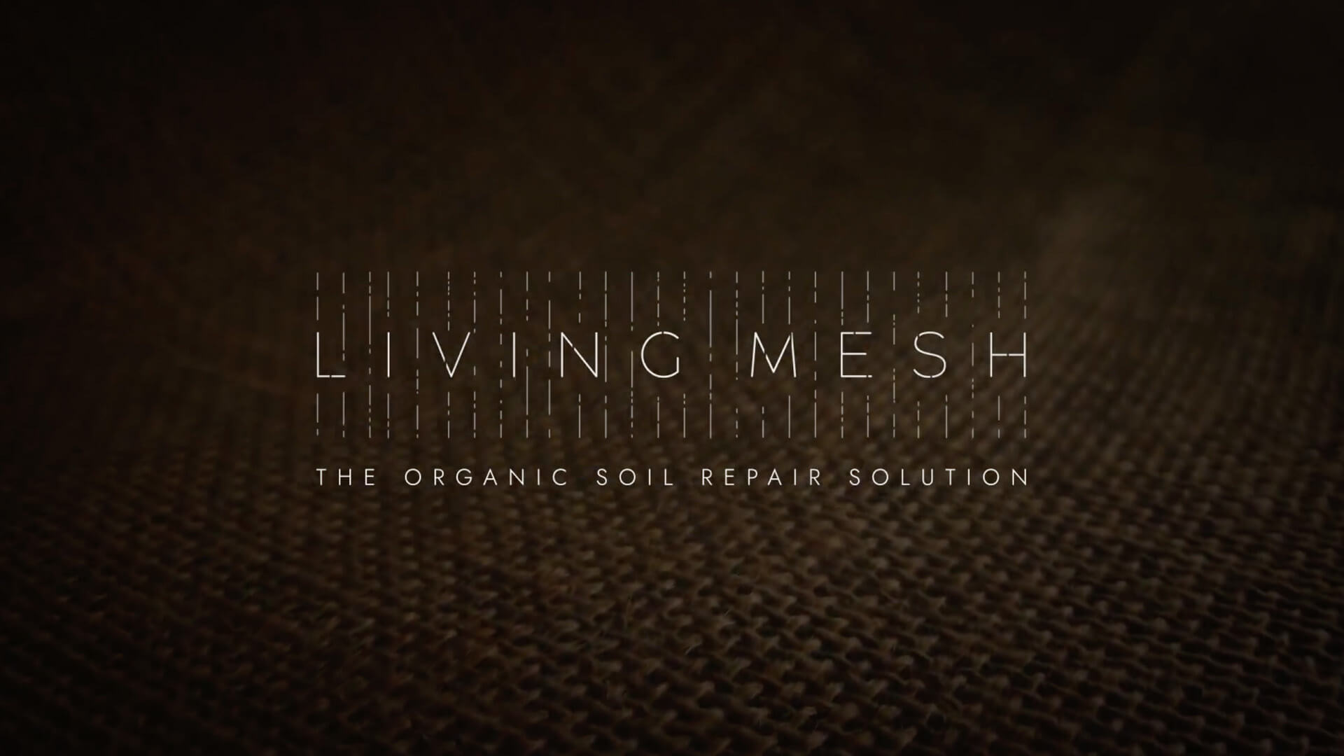 Video Caso Living Mesh